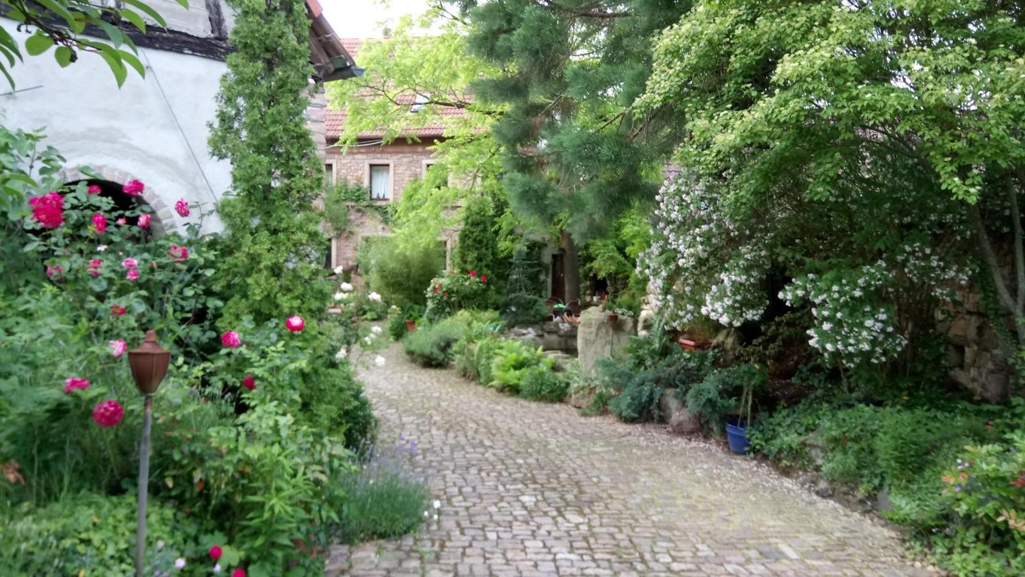 Ferienwohnung "El Patio" Am Donnersberg Dannenfels Exterior foto