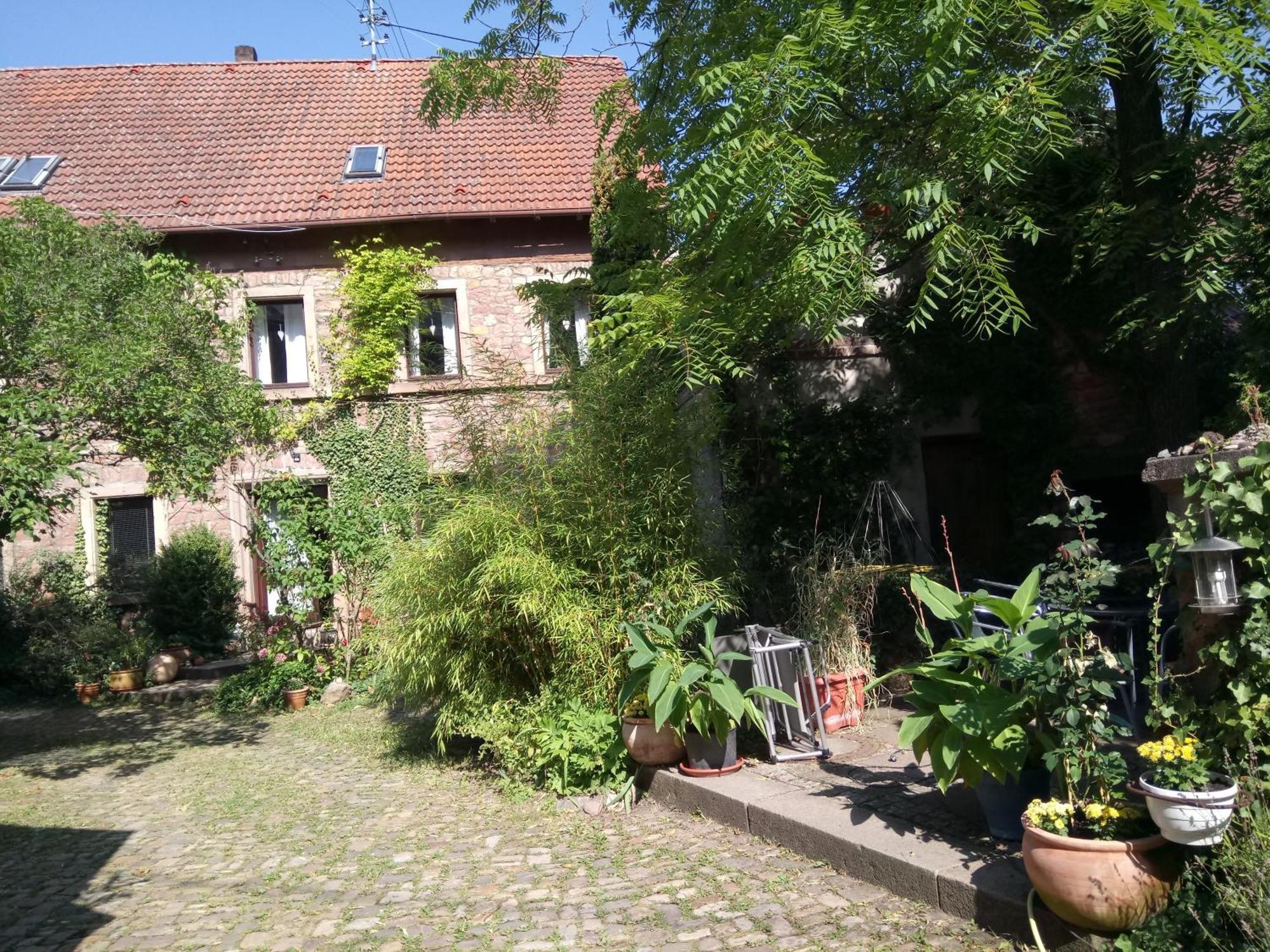 Ferienwohnung "El Patio" Am Donnersberg Dannenfels Exterior foto