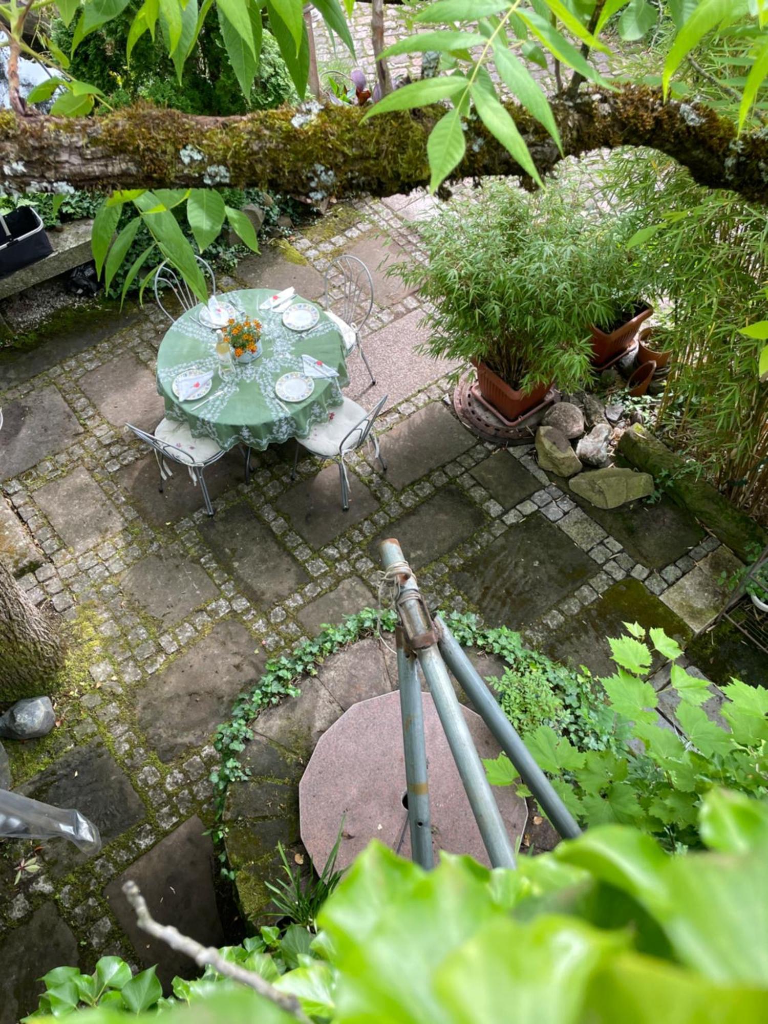 Ferienwohnung "El Patio" Am Donnersberg Dannenfels Exterior foto