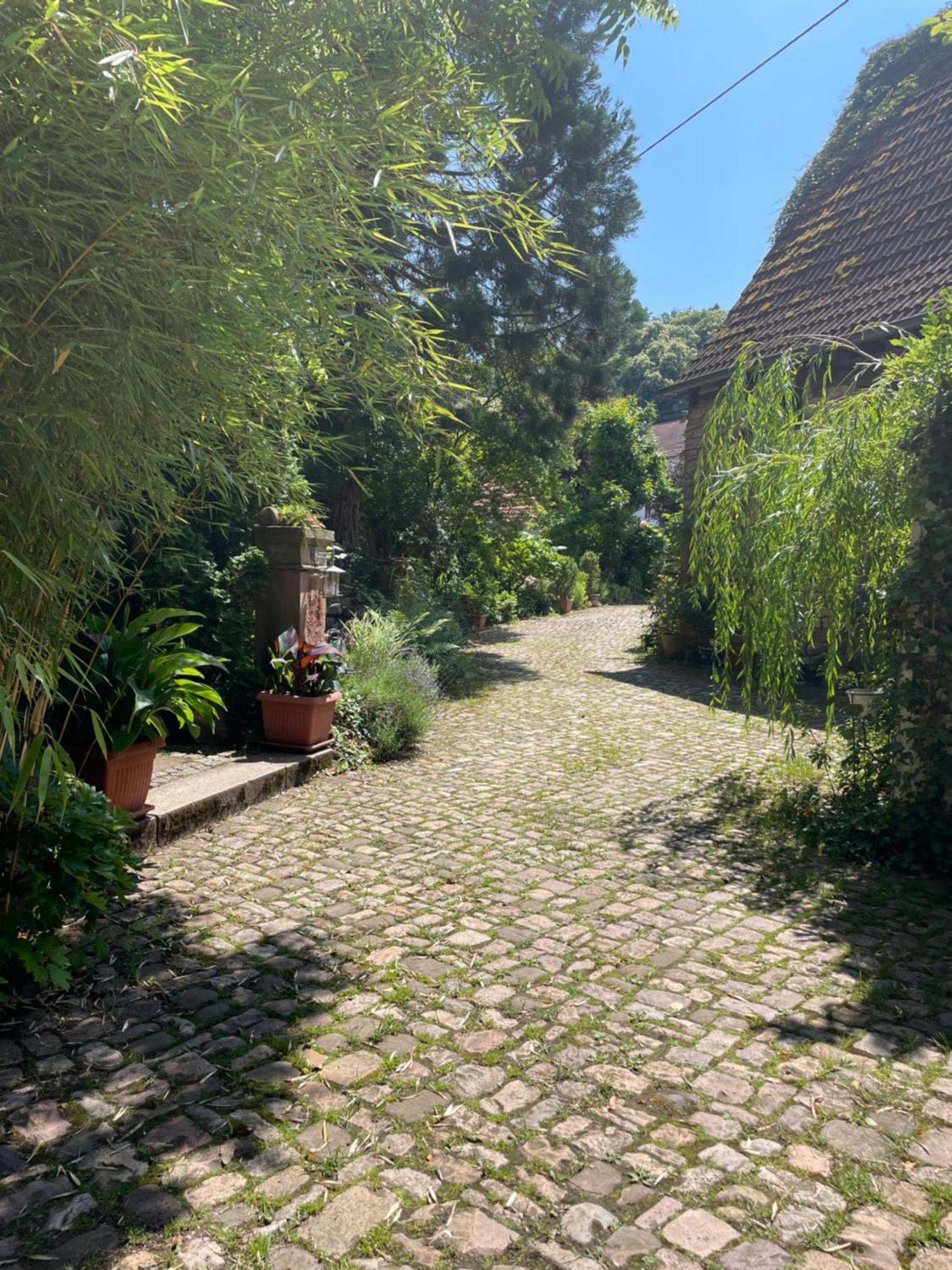 Ferienwohnung "El Patio" Am Donnersberg Dannenfels Exterior foto