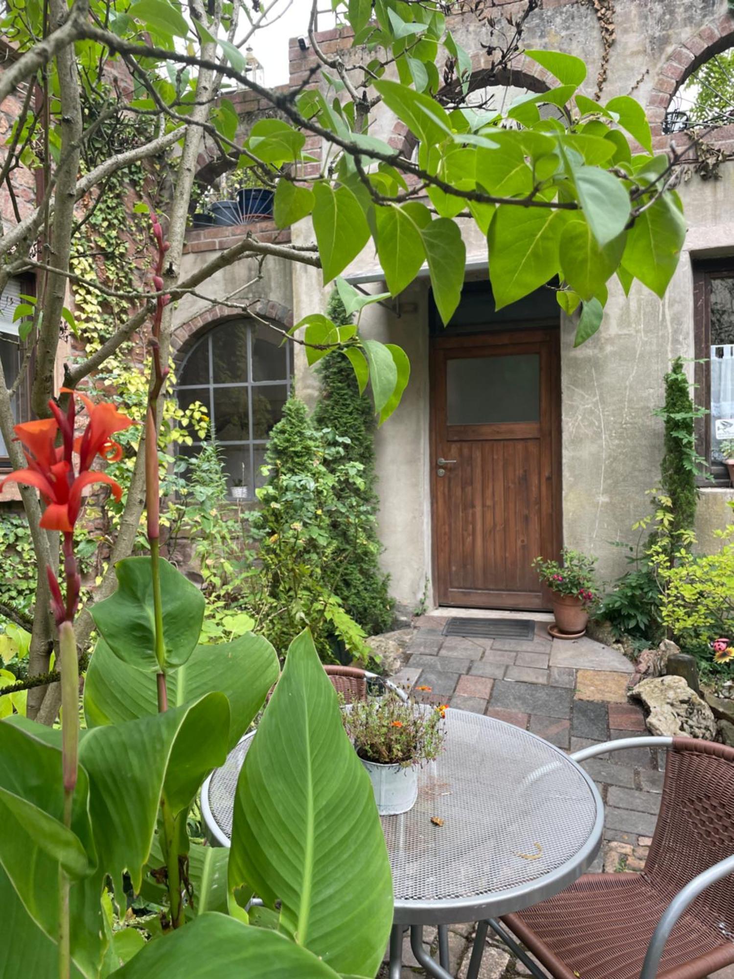 Ferienwohnung "El Patio" Am Donnersberg Dannenfels Exterior foto